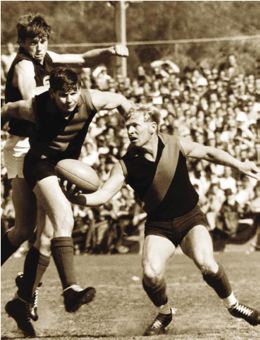 /uploaded_files/media/gallery/1511933945Barry Cable 2.jpg